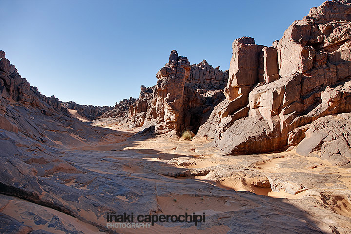 Wadi Meggedet